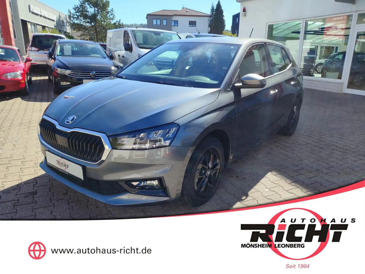 Skoda Fabia 1.0 TSI DSG 130 Jahre Kamera SHZ LED Grau - 1