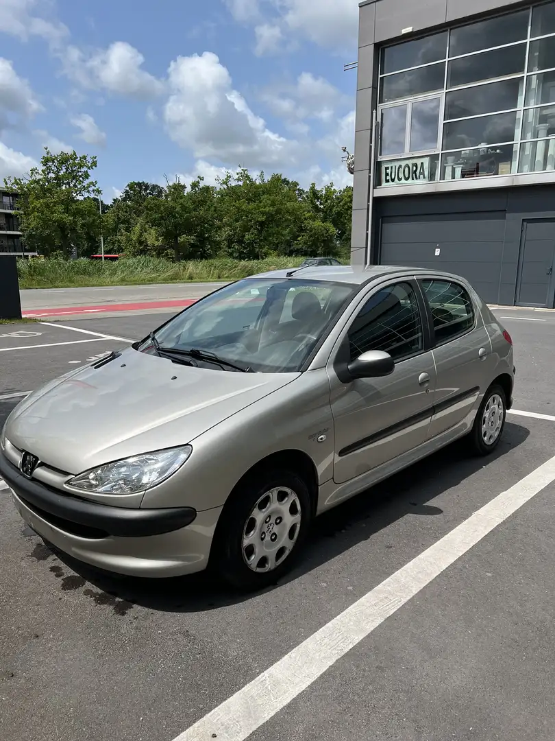 Peugeot 206 Argent - 1