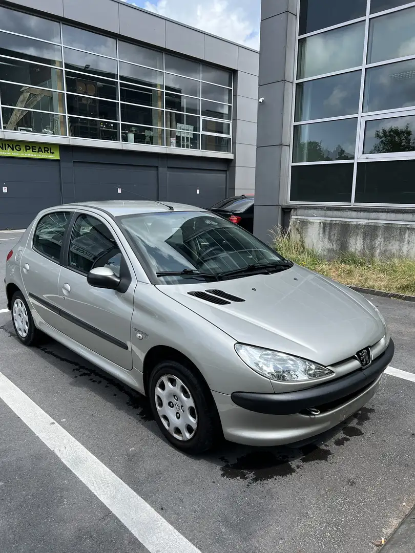 Peugeot 206 Argent - 2