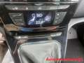 Lancia Ypsilon 0.9 TwinAir 85 CV 5 porte S&S DFN Platinum Blanco - thumbnail 13