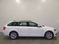 Skoda Octavia Combi 1.0 TSI Greentech Ambition Business PDC/CAME White - thumbnail 6