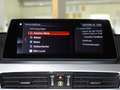 BMW X2 20d xDr HUD,Dach,AHK,Kamera,Abstandstempomat Blau - thumbnail 12