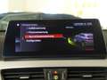 BMW X2 20d xDr HUD,Dach,AHK,Kamera,Abstandstempomat Blau - thumbnail 13