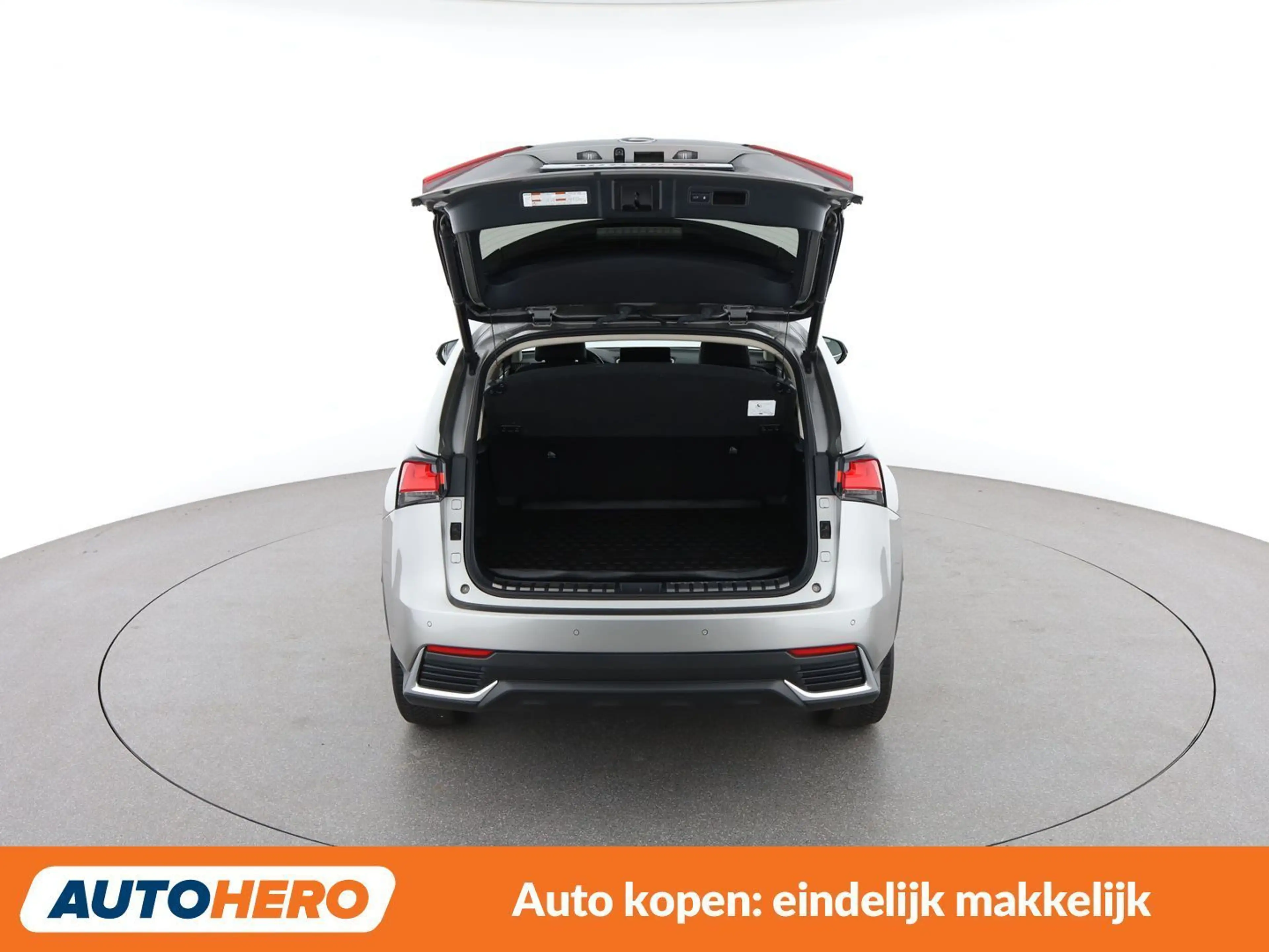 Lexus NX 300h NX 300h E-Four Premium — photo 16