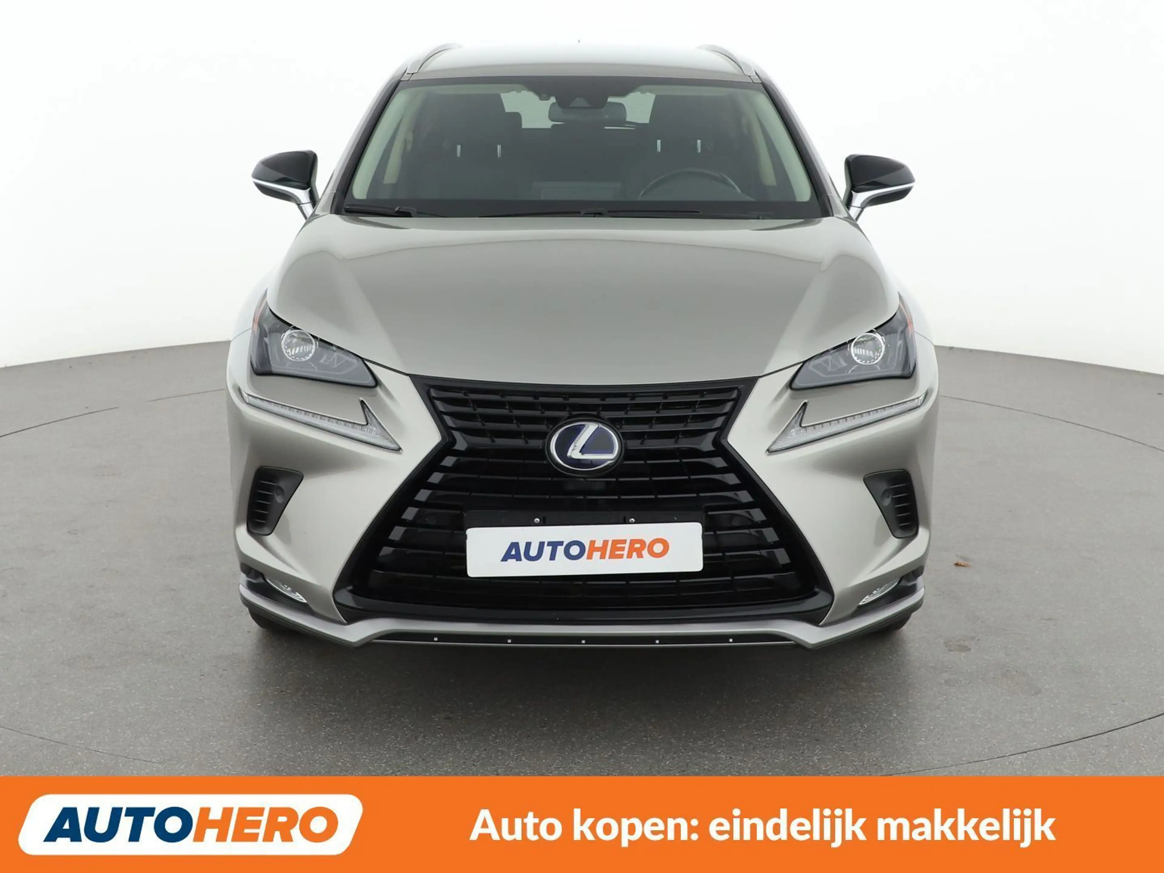 Lexus NX 300h NX 300h E-Four Premium — photo 9