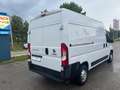 Fiat Ducato 2,3l L2H2, MwSt., Pickerl NEU 06/26,wenig KM,Klima Weiß - thumbnail 4