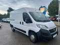 Fiat Ducato 2,3l L2H2, MwSt., Pickerl NEU 06/26,wenig KM,Klima Weiß - thumbnail 2