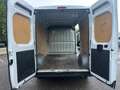 Fiat Ducato 2,3l L2H2, MwSt., Pickerl NEU 06/26,wenig KM,Klima Weiß - thumbnail 19