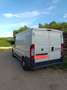 Fiat Ducato L1H1 115 Multijet - thumbnail 2