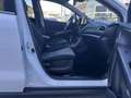 Suzuki S-Cross 1,4 Hybrid ALLGRIP shine Weiß - thumbnail 10