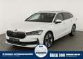 Skoda Superb Combi TDI DSG 4x4 Selection, Standheizung, Pano, A Weiß - thumbnail 1