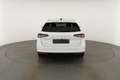 Skoda Superb Combi TDI DSG 4x4 Selection, Standheizung, Pano, A Weiß - thumbnail 19