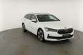 Skoda Superb Combi TDI DSG 4x4 Selection, Standheizung, Pano, A Weiß - thumbnail 29