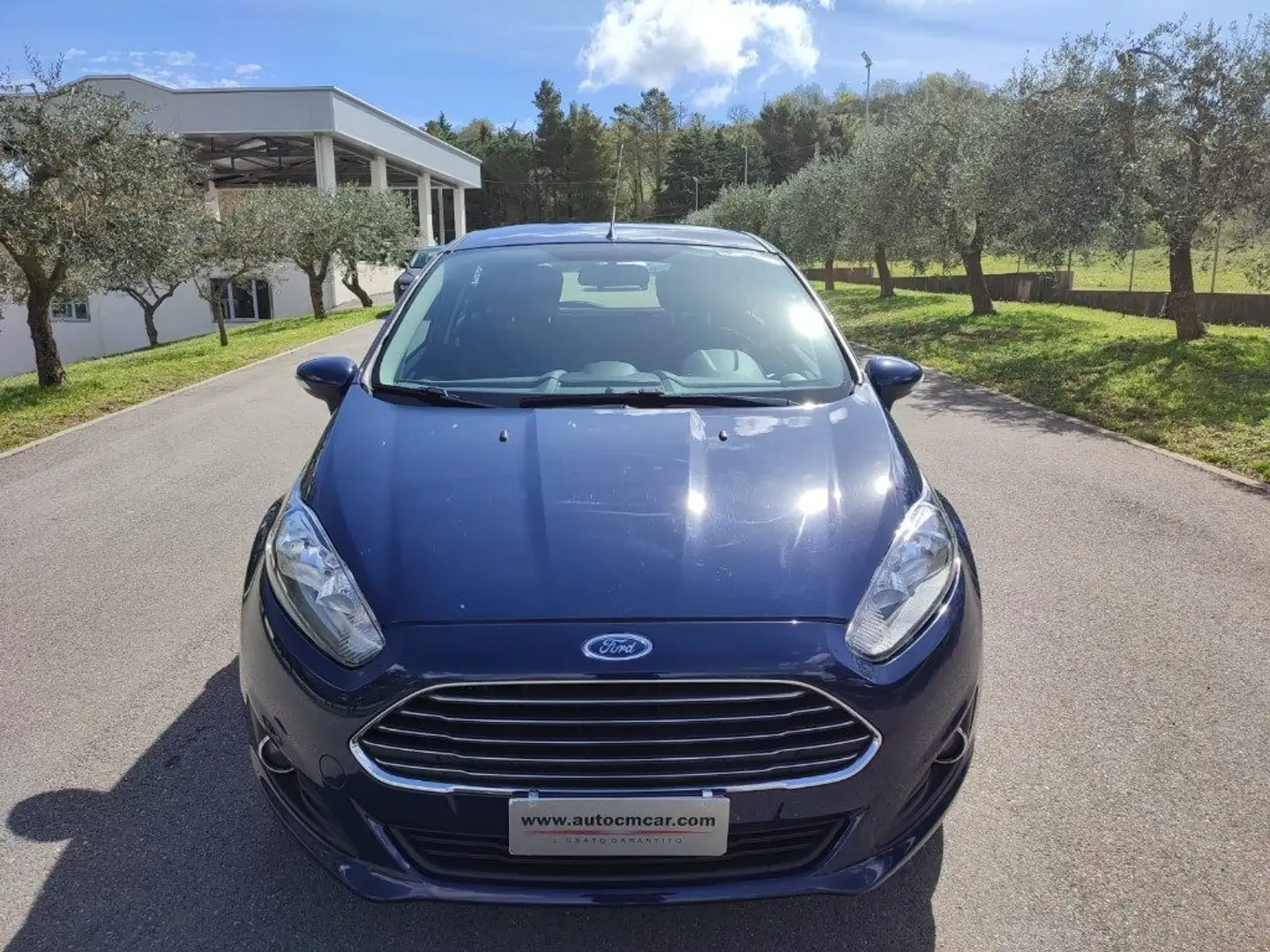 Ford Fiesta 1.6 TDCi 95CV 5 porte Business Bleu - 1