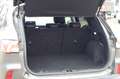 Ford Kuga Hybrid Titanium X Grau - thumbnail 6