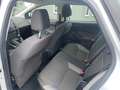 Ford Focus Ambiente*1.Hand*TüvNeu*Klima*ZahnriemenNeu Wit - thumbnail 15