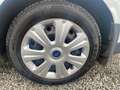 Ford Focus Ambiente*1.Hand*TüvNeu*Klima*ZahnriemenNeu Wit - thumbnail 9