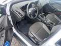 Ford Focus Ambiente*1.Hand*TüvNeu*Klima*ZahnriemenNeu Wit - thumbnail 10