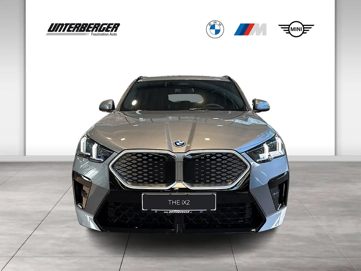 BMW iX2 eDrive 20 | M Paket | Inno Paket | H&K Sound Gris - 2