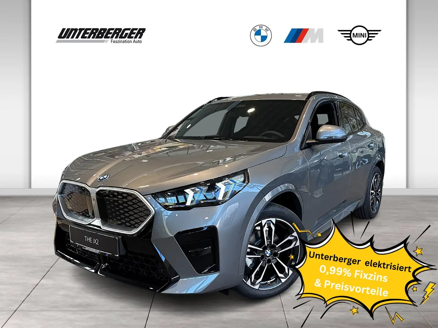 BMW iX2 eDrive 20 | M Paket | Inno Paket | H&K Sound Gris - 1