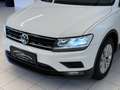 Volkswagen Tiguan 2.0 TDI BMT Comfortline*ACC*LED*MASSAGE* Weiß - thumbnail 5