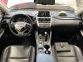 Lexus NX 300 h Hybrid E-FOUR Executive *PELLE*TETTO APR*CAMERA* Bianco - thumbnail 7