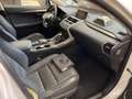 Lexus NX 300 h Hybrid E-FOUR Executive *PELLE*TETTO APR*CAMERA* Bianco - thumbnail 8
