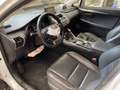 Lexus NX 300 h Hybrid E-FOUR Executive *PELLE*TETTO APR*CAMERA* Bianco - thumbnail 6