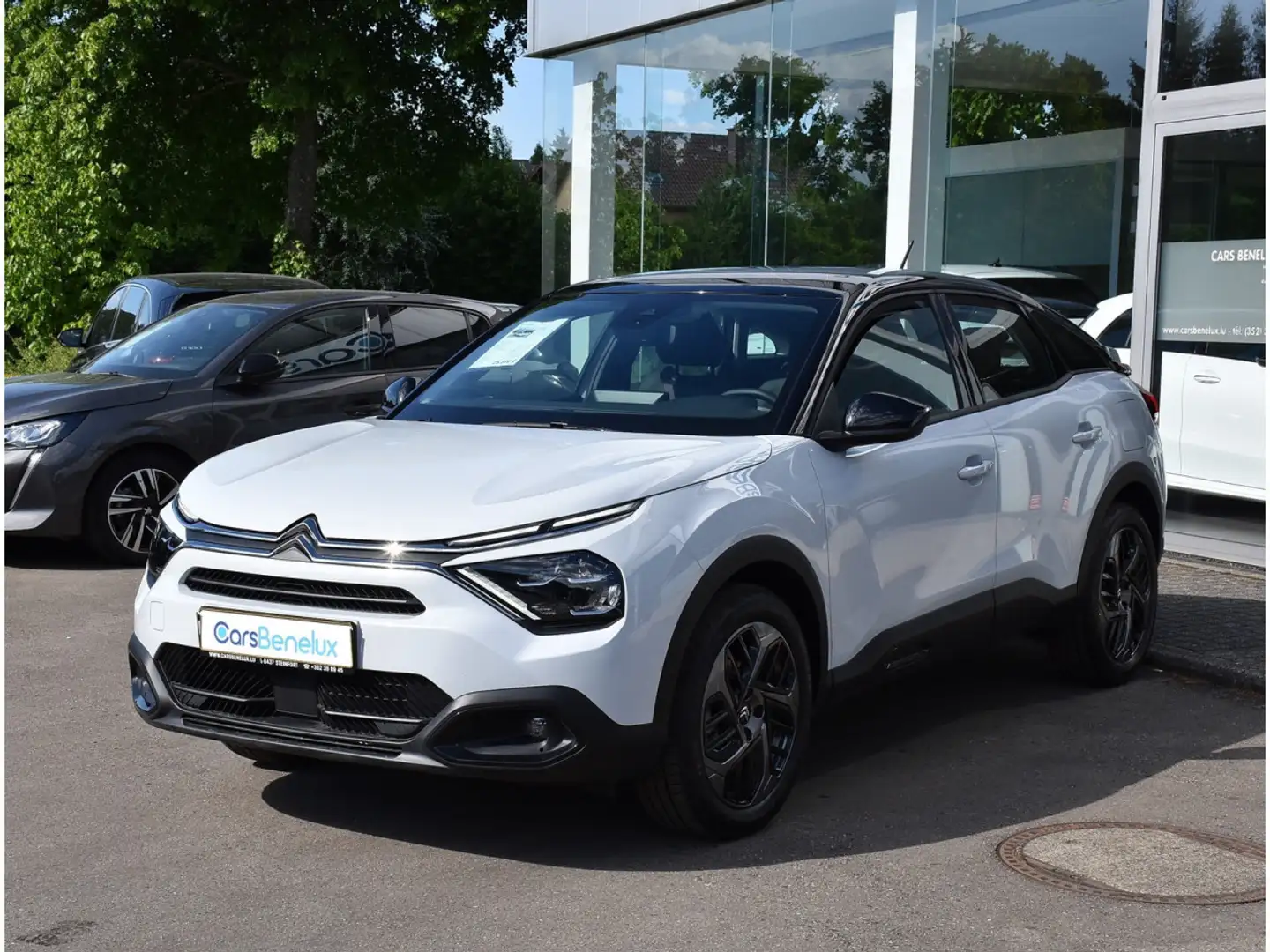 Citroen C4 1.5 BlueHDI Plus EAT8 REGUL CAM LANE NEUVE Blanc - 2