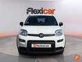 Fiat Panda Cross 1.0 Hybrid 51kw (70CV) Blanco - thumbnail 2