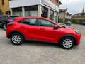 Ford Puma Puma 1.0 ecoboost Connect 95cv Rosso - thumbnail 4