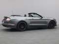 Ford Mustang GT Cabrio V8 450PS Aut./Premium 2 Grau - thumbnail 33