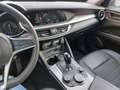 Alfa Romeo Stelvio 2.2 t Executive Q4 210cv auto my19 Grigio - thumbnail 10