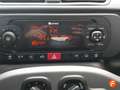 Fiat Panda City Life Hybrid 1.0 Gse 51kw (70CV) Gris - thumbnail 23