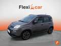 Fiat Panda City Life Hybrid 1.0 Gse 51kw (70CV) Gris - thumbnail 3
