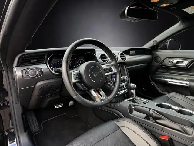 Ford Mustang view 13