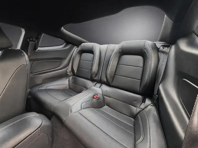 Ford Mustang view 12