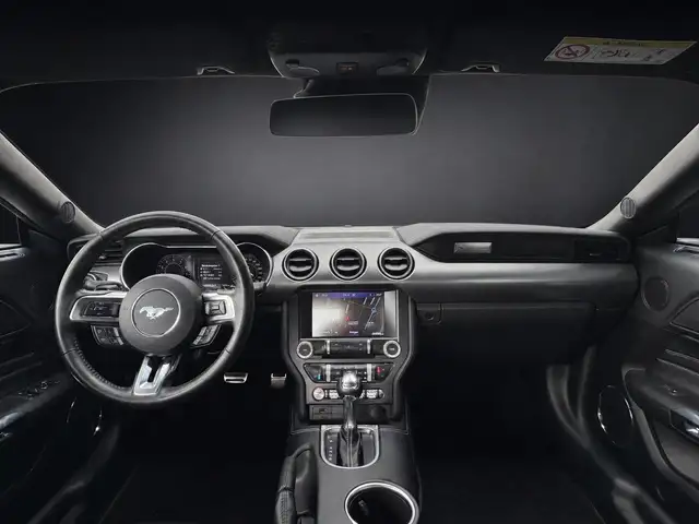 Ford Mustang view 10