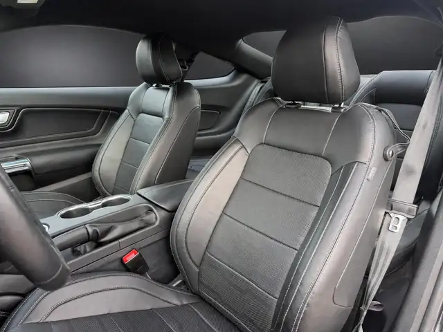 Ford Mustang view 14