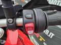 BMW F 900 XR Video 360 km 2541 Rosso - thumbnail 11