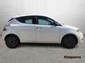 Lancia Ypsilon Ypsilon 1.2 69 CV 5 porte S&S Gold - thumbnail 5