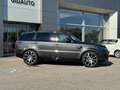 Land Rover Range Rover Sport Range Rover Sport 3.0D l6 249 CV HSE Silver - thumbnail 7