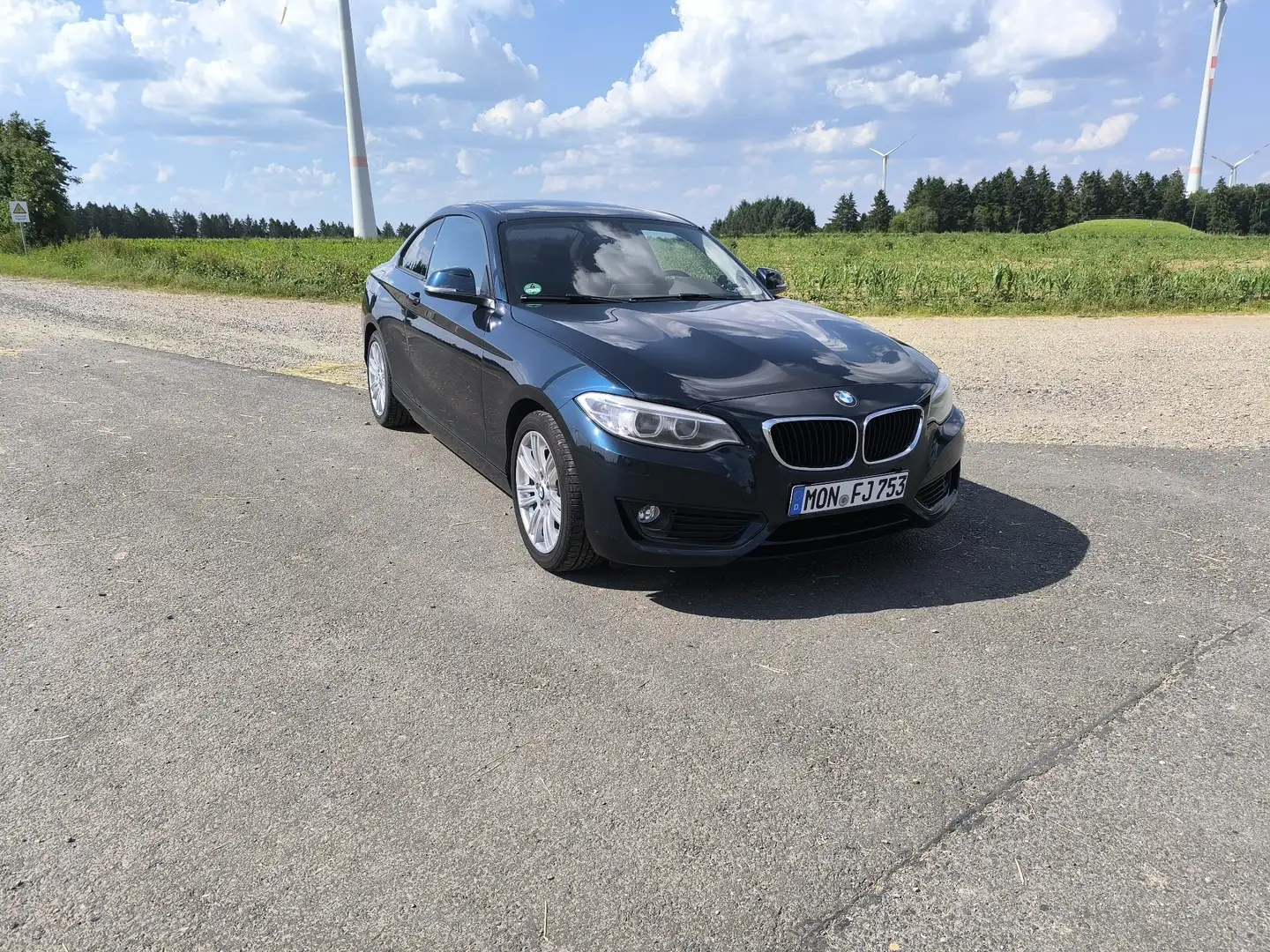 BMW 220 220i Coupe Aut. Blue - 2