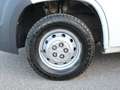 Fiat Ducato 2.2 MJT PC-TN FURGONE *OFFICINA MOBILE*+IVA* Bianco - thumbnail 18