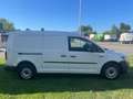Volkswagen Caddy Nfz Maxi Kasten BMT Weiß - thumbnail 4