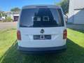 Volkswagen Caddy Nfz Maxi Kasten BMT Weiß - thumbnail 7