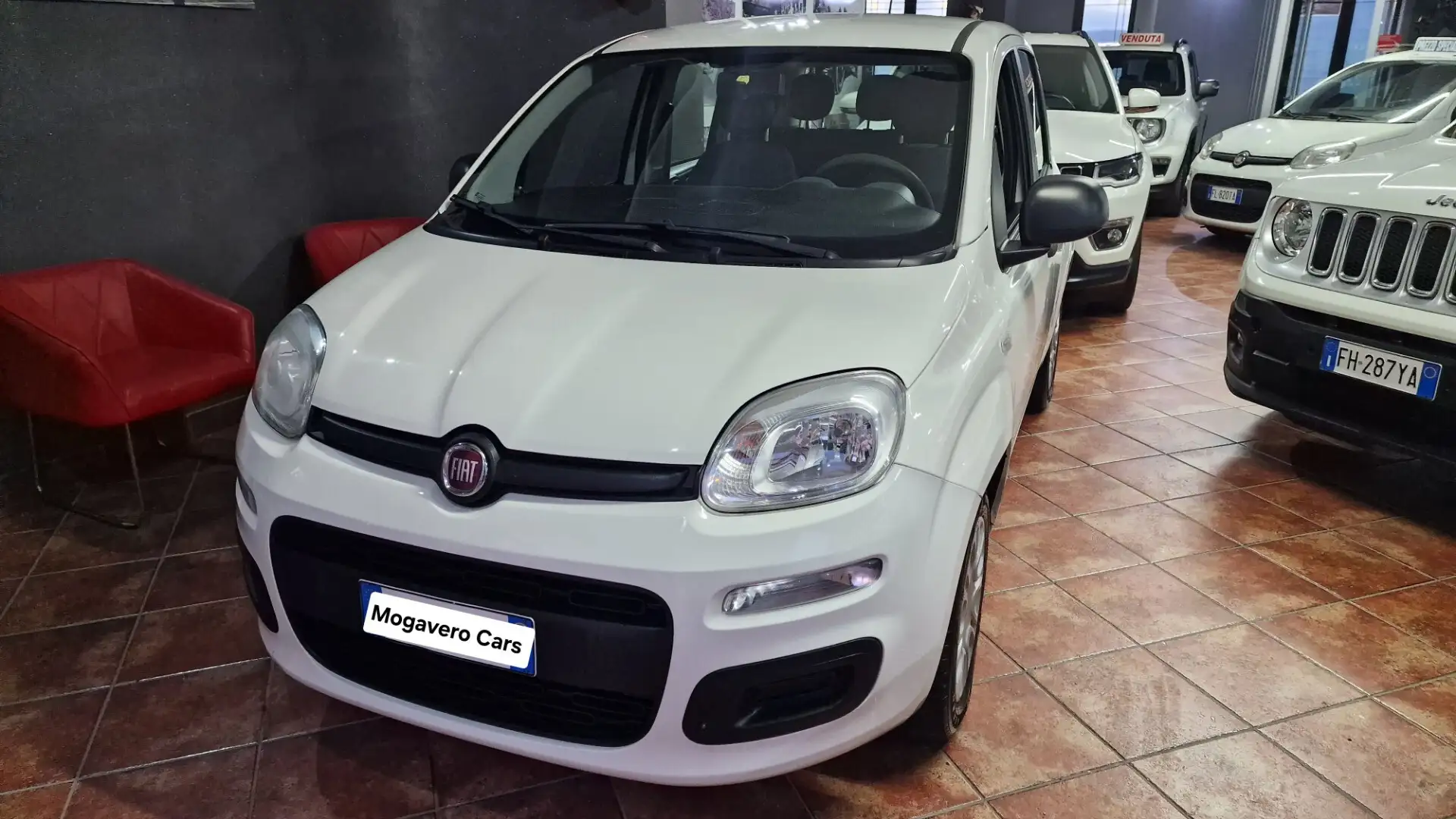 Fiat Panda 1.2 Lounge Bianco - 1