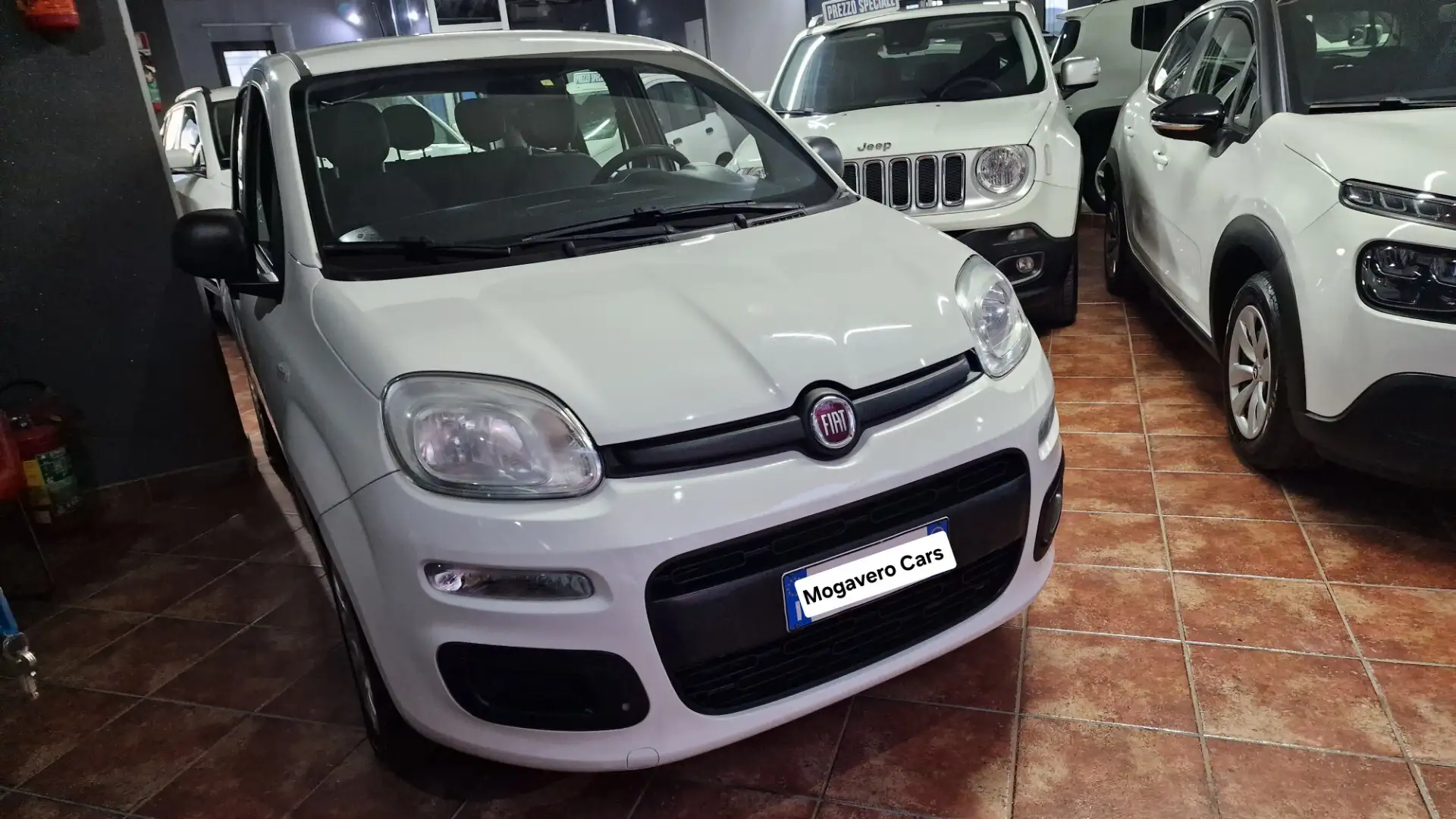 Fiat Panda 1.2 Lounge Bianco - 2