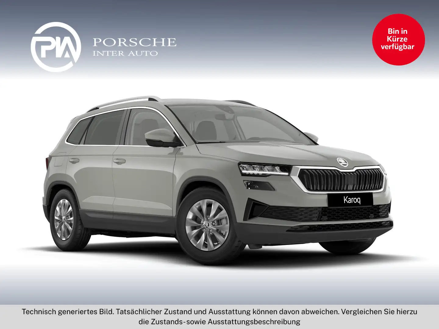 Skoda Karoq 4x4 Selection TDI DSG Grau - 1