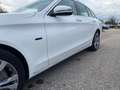 Mercedes-Benz C 300 de T-Mo 9G-Automatik Diesel /Plugin/Hybrid Blanco - thumbnail 15